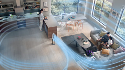 Dyson Purificateur Hot+Cool Formaldéhyde™ (Nickel/Or)